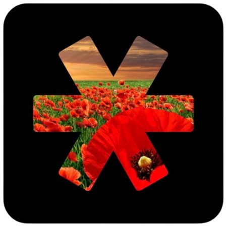 Poppy Appeal 2022.