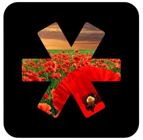 Poppy Appeal 2022.