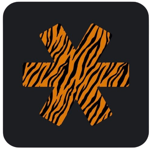 Happy Chinese New Year!