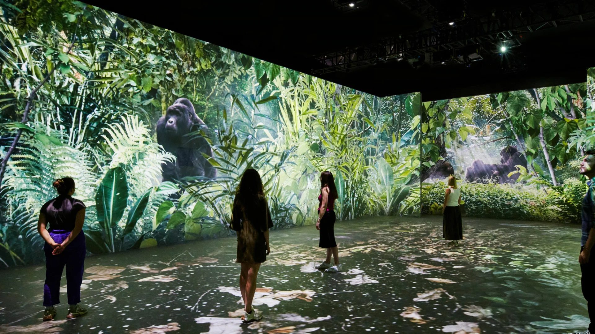 Our Story with David Attenborough, NHM.