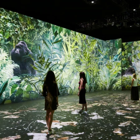 Our Story with David Attenborough, NHM.